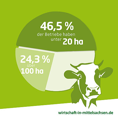 In Mittelsachsen gibt es die Landwirtschaftsbetriebe mit einer Fläche unter 20 Hektar genauso wie landwirtschaftliche Unternehmen mit über 100 Hektar Produktionsfläche.