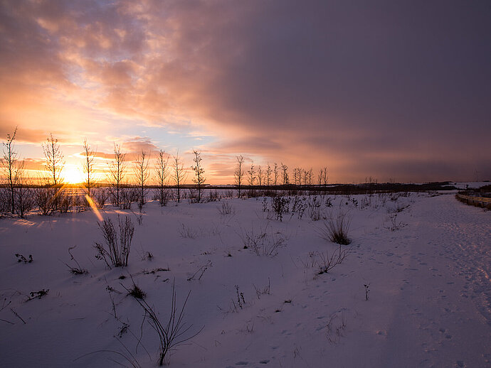 Winterlandschaft mit Sonnenuntergang