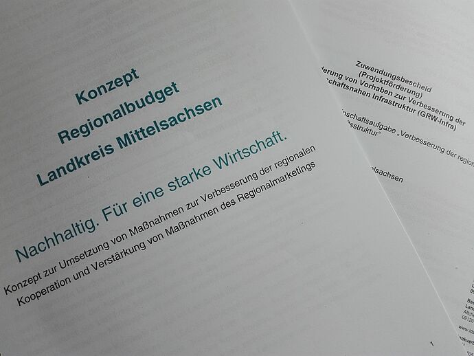 Konzept Regionalbudget Landkreis Mittelsachsen